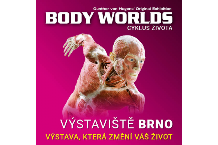 Výstava Body Worlds